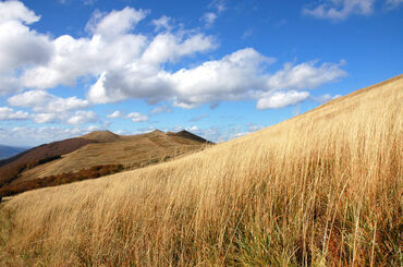 bieszczady.JPG