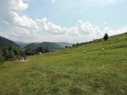 pieninyg014.jpg